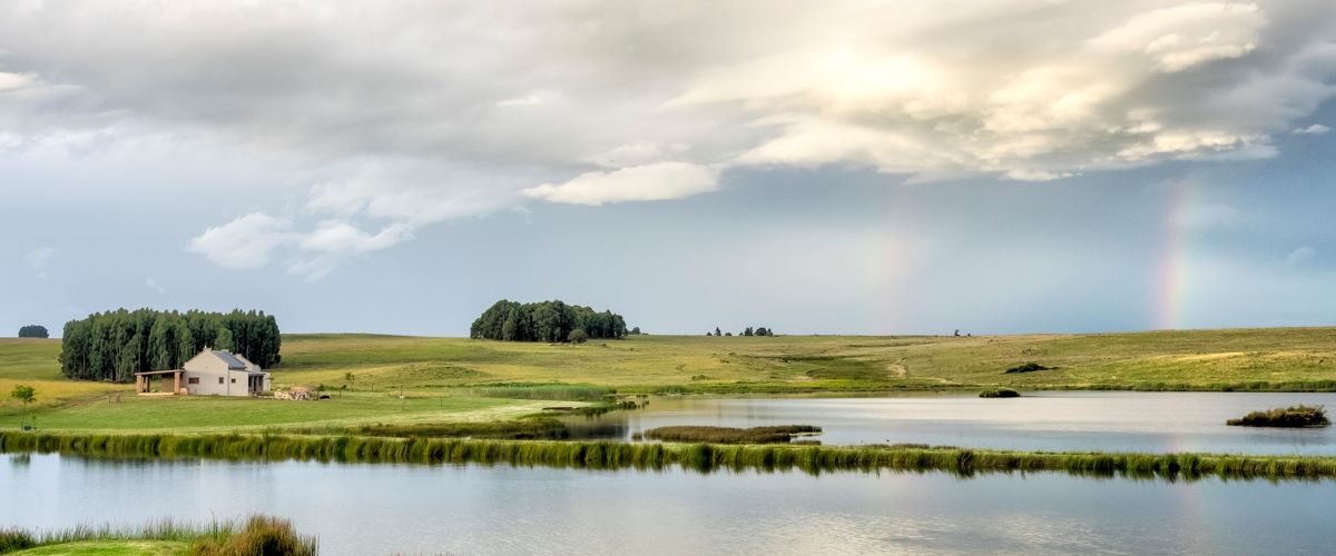 Welcome to Blue Crane Farm, Dullstroom